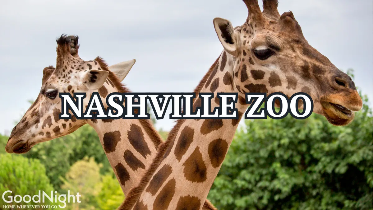 A joyful scene at the Nashville Zoo, with giraffes standing amid vibrant green foliage. The playful mood encapsulates the excitement of family outings and educational experiences with wildlife.
